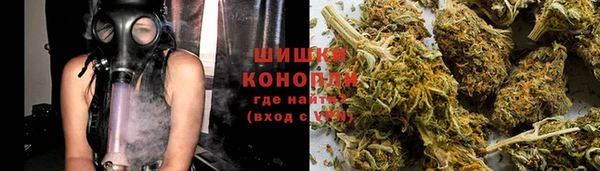 мяу мяу мука Покачи