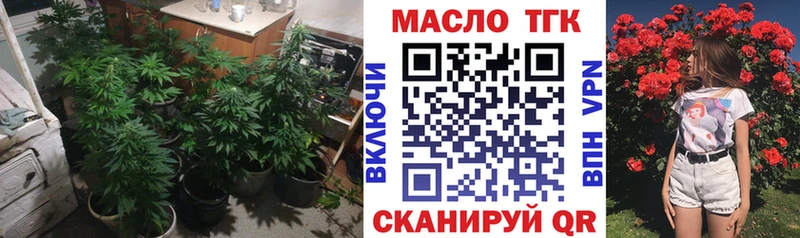 ТГК Wax  Камызяк 