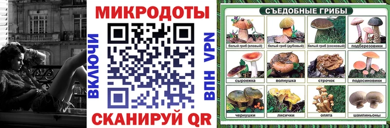 закладки  Камызяк  MEGA tor  Псилоцибиновые грибы прущие грибы 